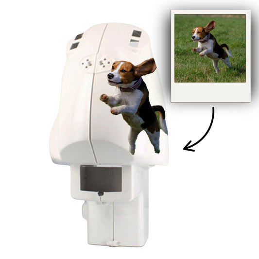 Scocca Personalizzata